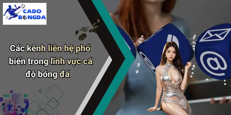 Các kênh liên hệ phổ biến trong lĩnh vực cá độ bóng đá