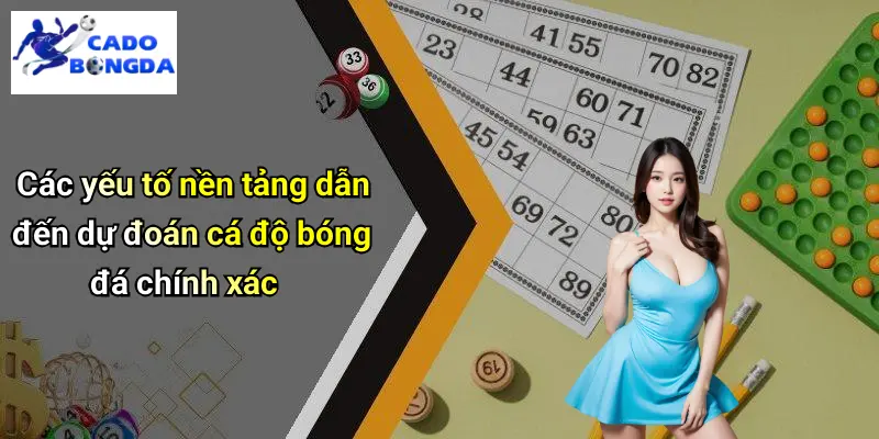 Các yếu tố nền tảng dẫn đến dự đoán cá độ bóng đá chính xác