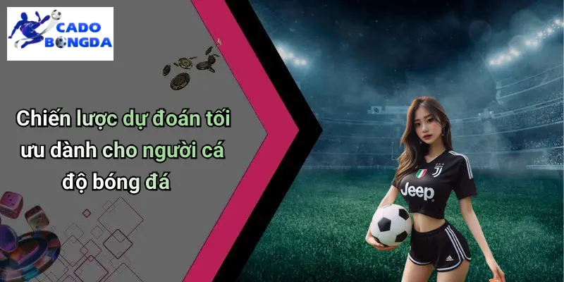 Chiến lược dự đoán tối ưu dành cho người cá độ bóng đá