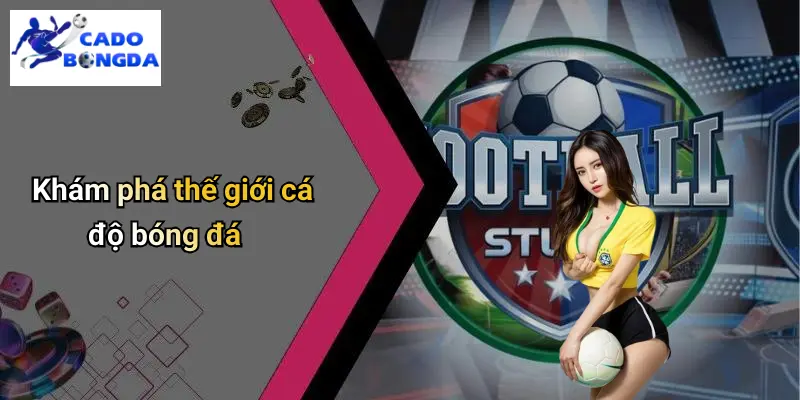 Khám phá thế giới cá độ bóng đá
