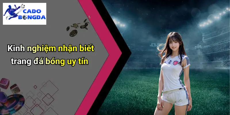 Cá độ bóng đá