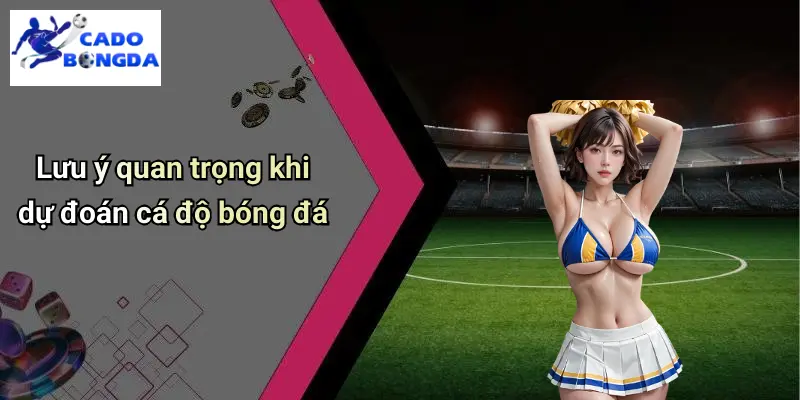Lưu ý quan trọng khi dự đoán cá độ bóng đá