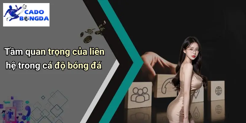 Tầm quan trọng của liên hệ trong cá độ bóng đá