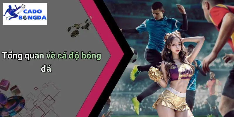 Cá độ bóng đá