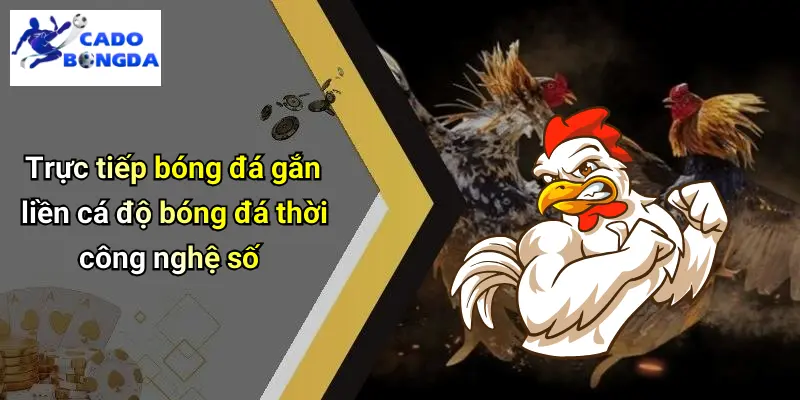Trực Tiếp Bóng Đá 2 Trực tiếp bóng đá gắn liền cá độ bóng đá thời công nghệ số