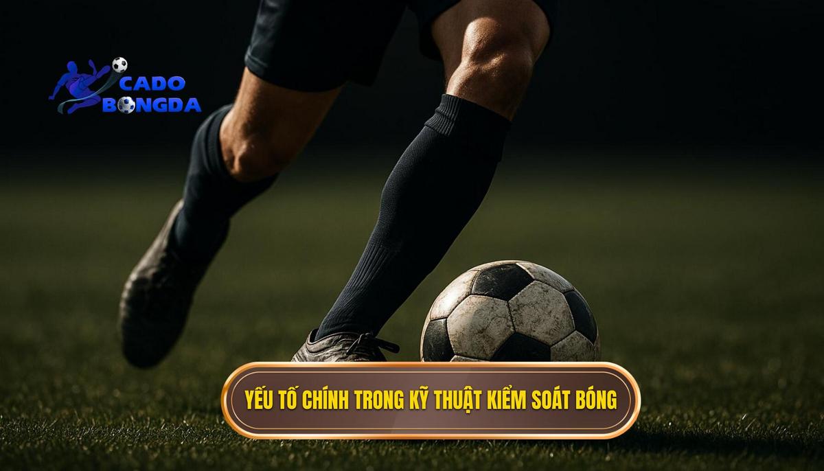 Các yếu tố cốt lõi cấu thành kỹ thuật kiểm soát bóng đẳng cấp