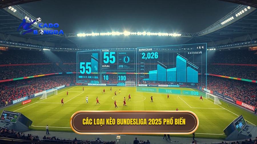 Phân Tích Các Loại Kèo Phổ Biến Khi Soi Kèo Các Trận Đấu Bundesliga 2025