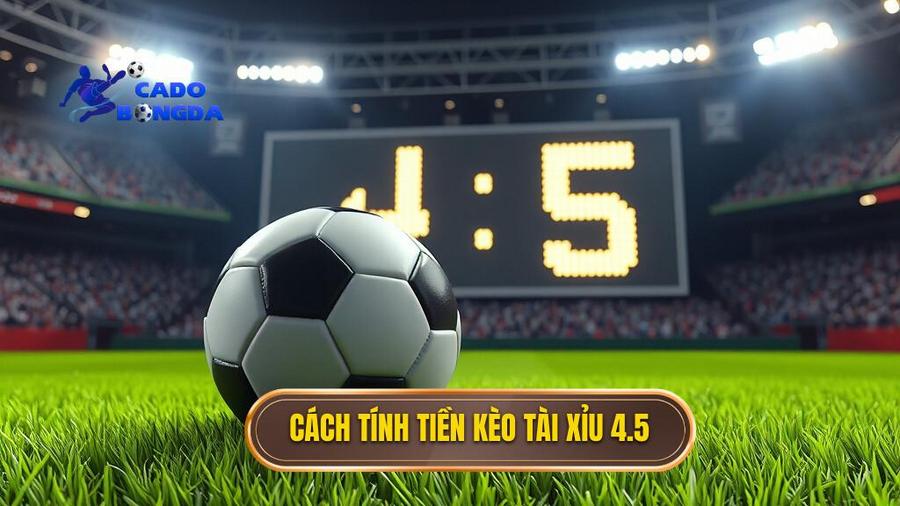 Cách tính tiền thắng thua trong Kèo tài xỉu 4.5 toàn trận