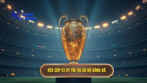 Kèo cá cược Cúp C1 châu Âu