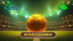 Kèo tài xỉu 4.5 toàn trận: Hướng dẫn chi tiết và chiến thuật chinh phục nhà cái