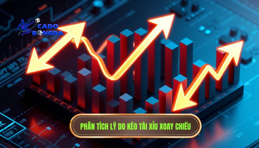 Tại sao kèo tài xỉu đang xoay chiều? Phân tích đa chiều