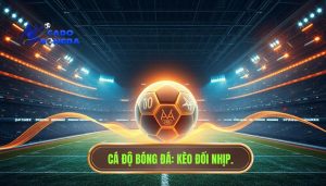 Kèo tài xỉu bắt đầu đổi nhịp