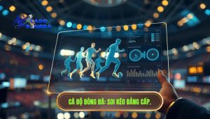 Khi nào nên bỏ qua lịch sử đối đầu? Phân tích đa chiều từ chuyên gia
